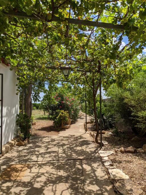 Casa Rural Frente Al Mar La Toscana Les Cases d'Alcanar Exterior photo